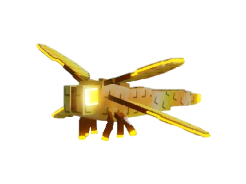 6 DRAGON FLY